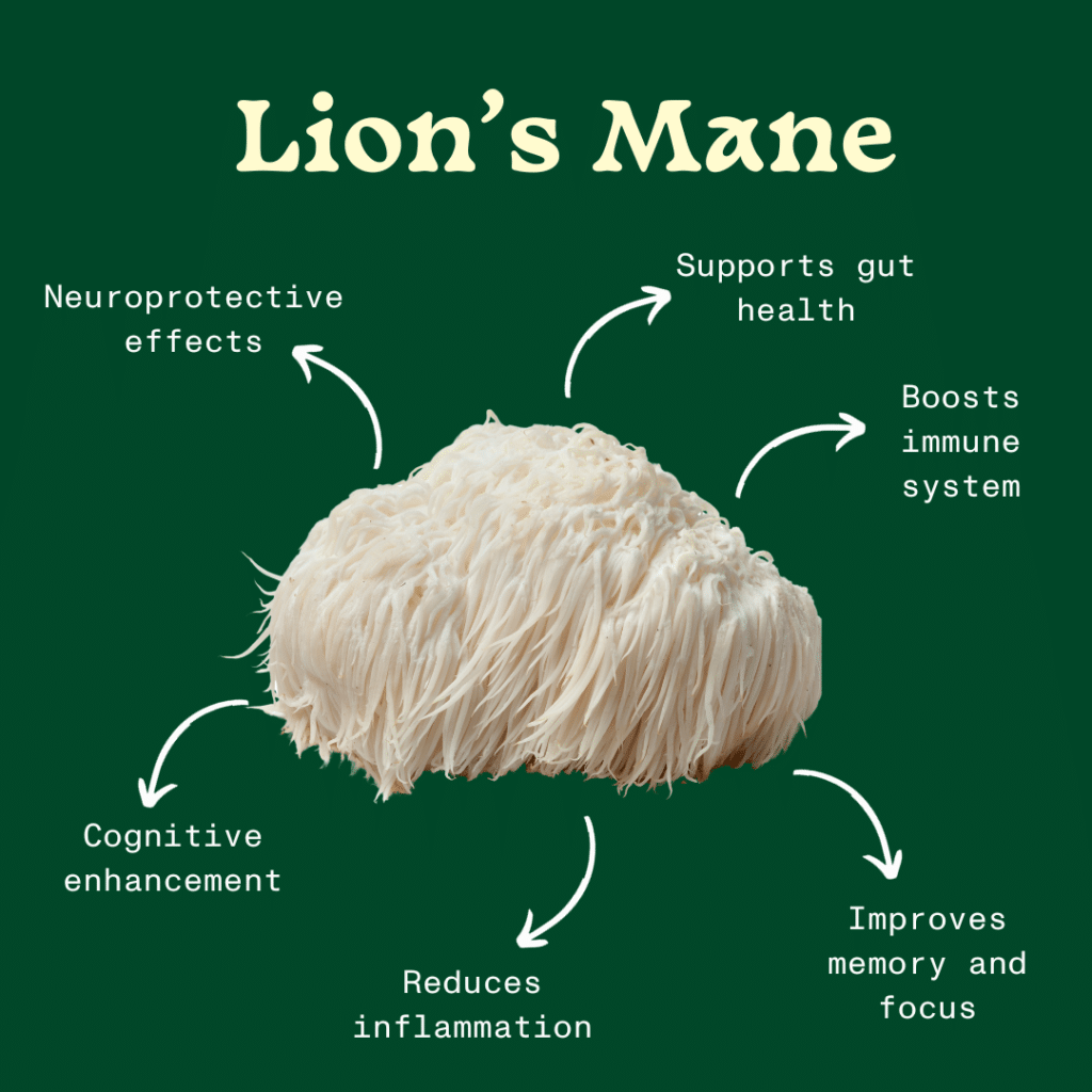 benefits of lion's mane