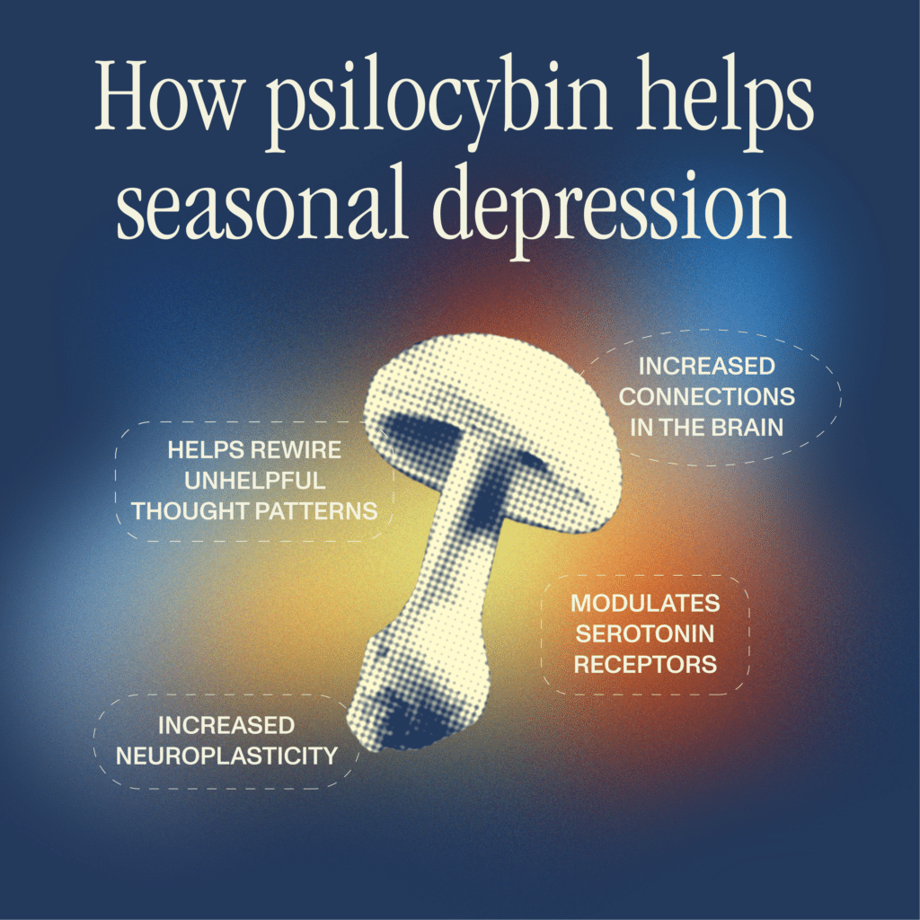 how psilocybin helps seasonal depression