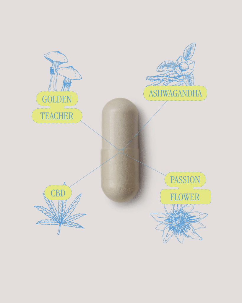 magic mushroom capsules for depression and anxiety